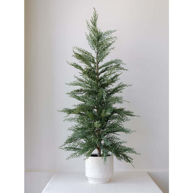 Tree Set of 2 Cedar Pot 2ft - Plants - 5