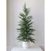 Tree Set of 2 Cedar Pot 2ft - Plants - 5