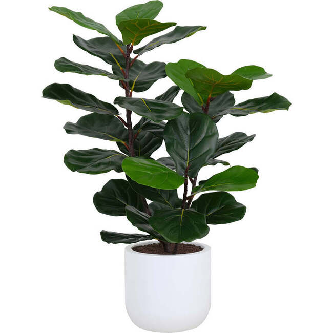 Tree Fiddle Fig Pot 3ft