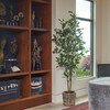 Tree Lemon Grower 7ft - Plants - 4