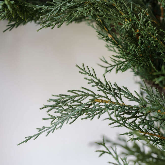 Wreath Cedar 30in - Wreaths - 4