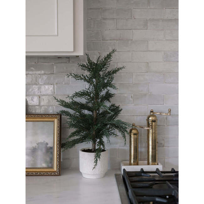 Tree Set of 2 Cedar Pot 2ft - Plants - 6