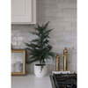 Tree Set of 2 Cedar Pot 2ft - Plants - 6