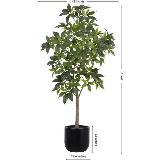 Tree Money Pot 7ft - Plants - 5
