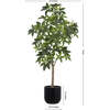 Tree Money Pot 7ft - Plants - 5