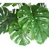 Tree Monstera Pot 4ft - Plants - 6