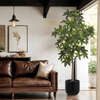 Tree Money Pot 7ft - Plants - 6