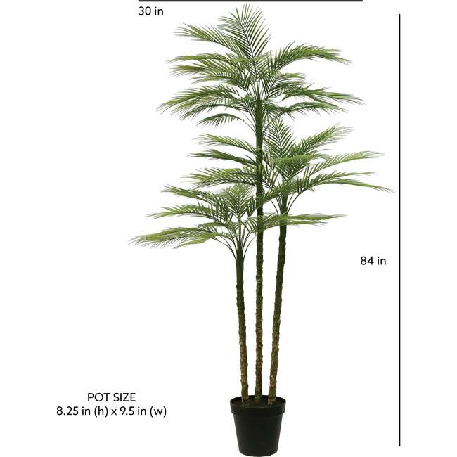Tree Palm Grower 7ft - Plants - 6