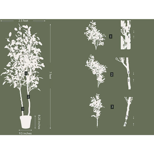 Tree Lemon Grower 7ft - Plants - 6