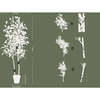 Tree Lemon Grower 7ft - Plants - 6
