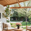 Tree Magnolia Grower 7ft - Plants - 5