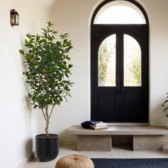 Tree Laurel Pot 7ft - Plants - 6