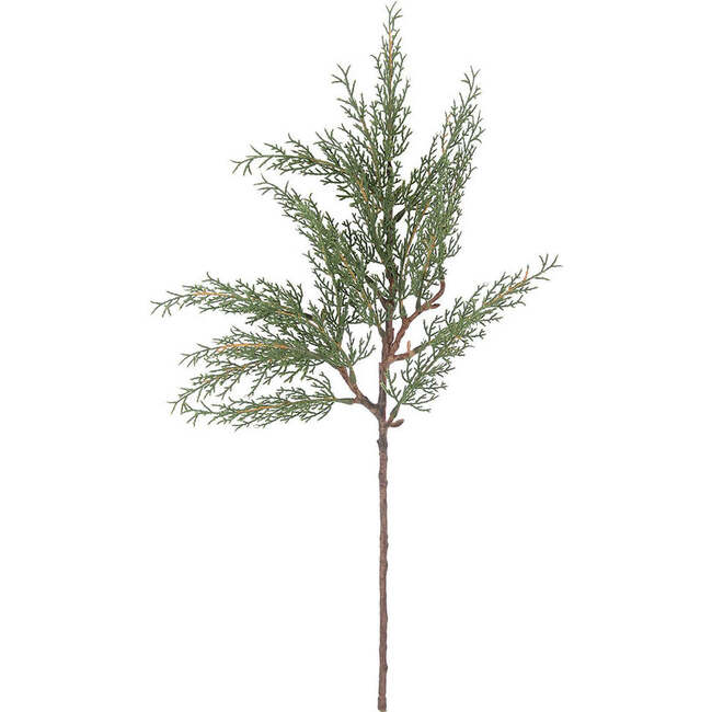 Stems Set of 6 Cedar 20in