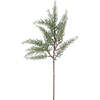 Stems Set of 6 Cedar 20in - Plants - 1 - thumbnail