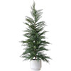 Tree Cedar Pot 3ft - Plants - 1 - thumbnail