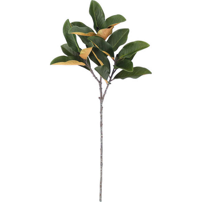 Stems Set of 4 Magnolia Green 36in