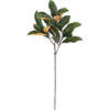 Stems Set of 4 Magnolia Green 36in - Plants - 1 - thumbnail