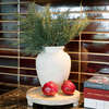 Stems Set of 6 Cedar 20in - Plants - 2