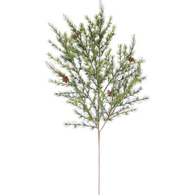 Stems Set of 4 Pine 36in