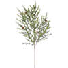 Stems Set of 4 Pine 36in - Plants - 1 - thumbnail