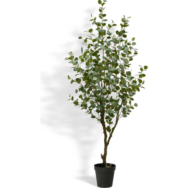 Tree Eucalyptus Grower 7ft