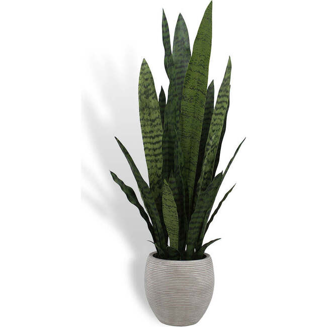 Plant Snake Pot 40in
