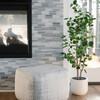 Tree Eucalpytus Pot 4ft - Plants - 2
