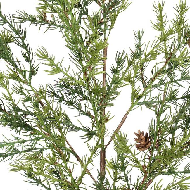 Stems Set of 4 Pine 36in - Plants - 2