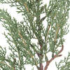 Stems Set of 6 Cedar 20in - Plants - 4