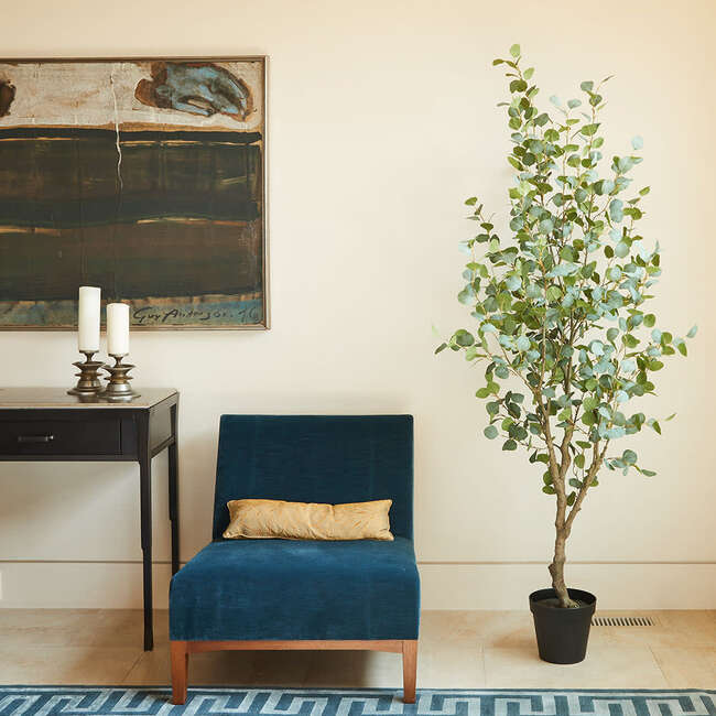 Tree Eucalyptus Grower 7ft - Plants - 2