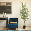 Tree Eucalyptus Grower 7ft - Plants - 2