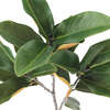Stems Set of 4 Magnolia Green 36in - Plants - 3