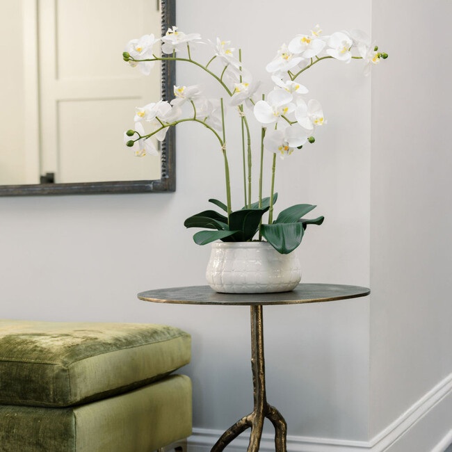 Orchid Phale 4 Stem Pot, White 23in - Plants - 2