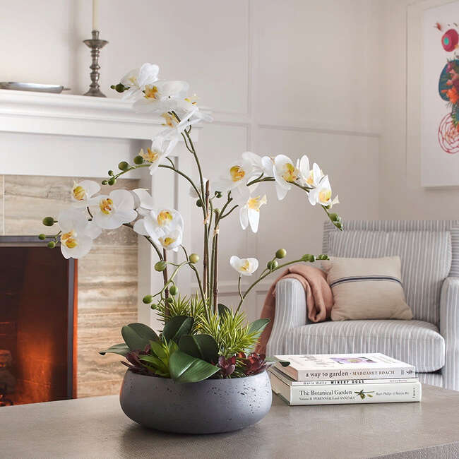 Orchid With Succulents Pot 24in - Plants - 3
