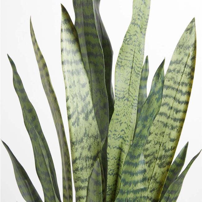 Plant Snake Pot 40in - Plants - 4
