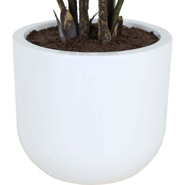 Plant Philodendron Pot 3ft - Plants - 5
