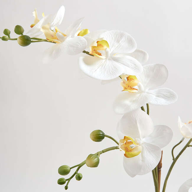 Orchid With Succulents Pot 24in - Plants - 4