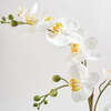 Orchid With Succulents Pot 24in - Plants - 4