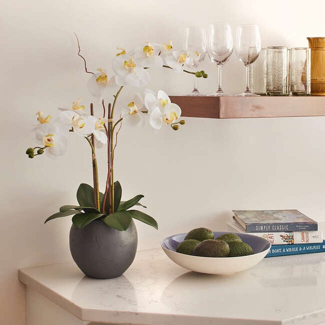 Orchid Phale 2 Stem Pot, White 25in - Plants - 2