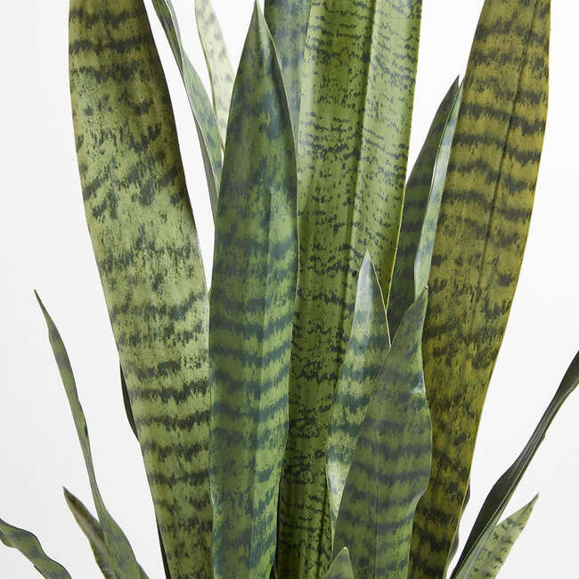 Plant Snake Pot 40in - Plants - 5