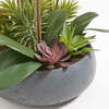 Orchid With Succulents Pot 24in - Plants - 5
