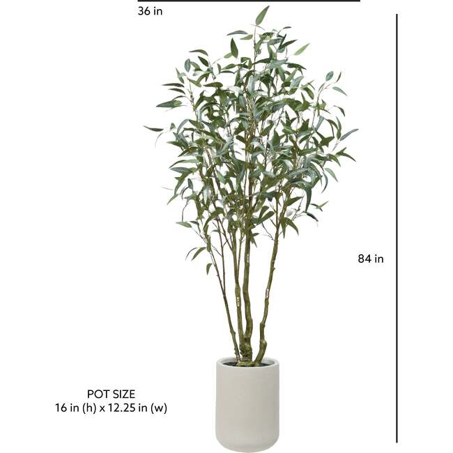 Tree Eucalpytus Willow Pot 7ft - Plants - 6