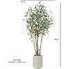 Tree Eucalpytus Willow Pot 7ft - Plants - 6