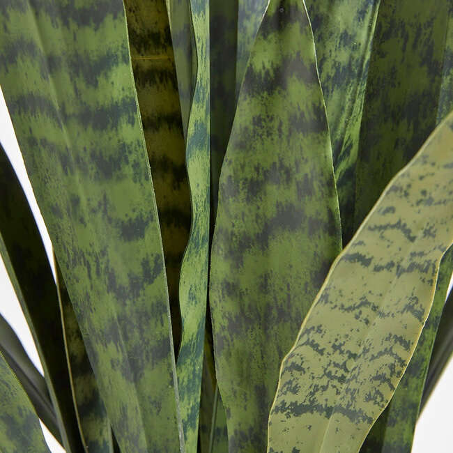 Plant Snake Pot 40in - Plants - 6