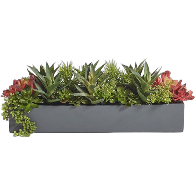 Arrangement Succulent Pot Gray 27in