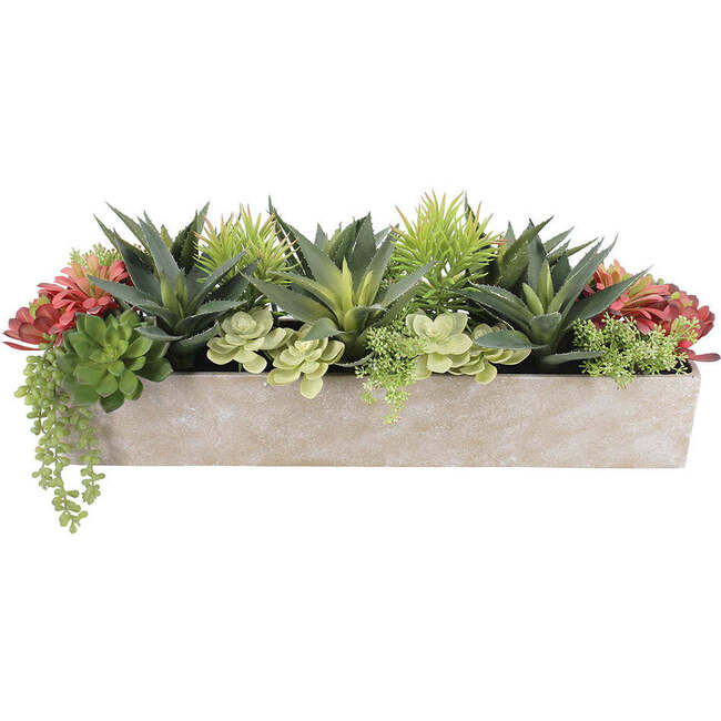 Arrangement Succulent Pot Natural 27in