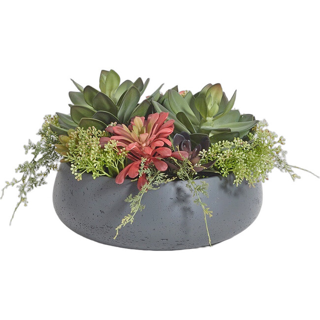 Arrangement Succulent Round Pot Gray 14in