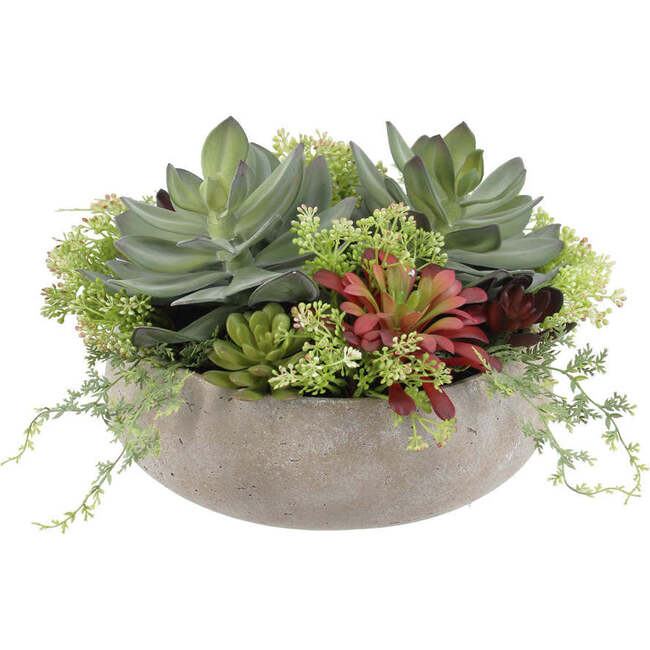 Arrangement Succulent Round Pot Natural 14in
