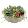 Arrangement Succulent Round Pot Natural 14in - Plants - 1 - thumbnail