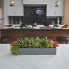 Arrangement Succulent Pot Gray 27in - Plants - 2